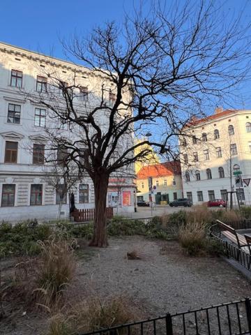 City&more! Schickes Beim Elterleinplatz! * Wien